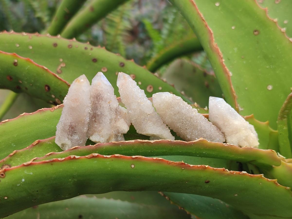 Natural Lilac Spirit Quartz Crystals x 70 From Boekenhouthoek, South Africa