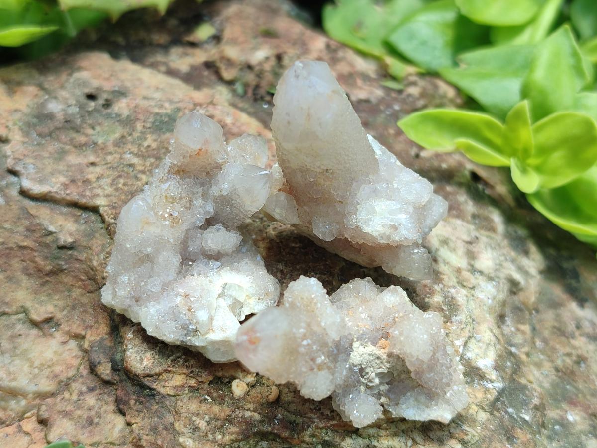 Natural Lilac Spirit Quartz Crystals x 70 From Boekenhouthoek, South Africa