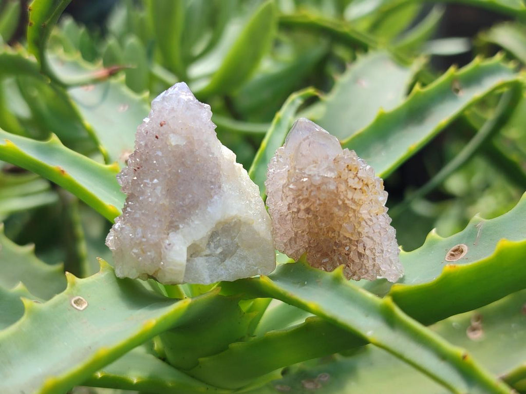 Natural Lilac Spirit Quartz Crystals x 70 From Boekenhouthoek, South Africa