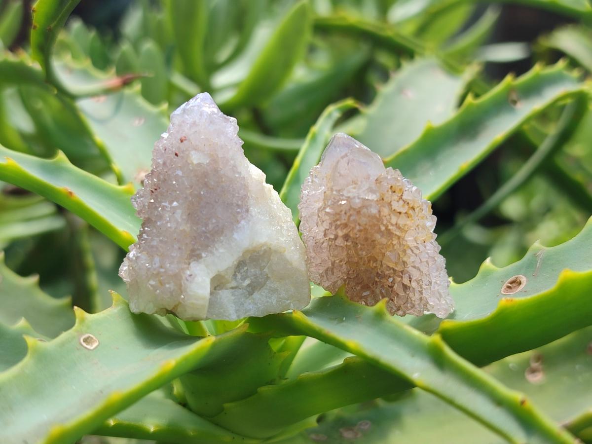 Natural Lilac Spirit Quartz Crystals x 70 From Boekenhouthoek, South Africa