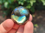 Polished Mini Rounded Labradorite Free Forms x 70 From Madagascar