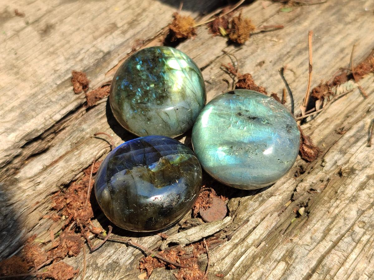 Polished Mini Rounded Labradorite Free Forms x 70 From Madagascar