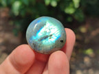 Polished Mini Rounded Labradorite Free Forms x 70 From Madagascar