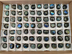 Polished Mini Rounded Labradorite Free Forms x 70 From Madagascar