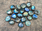 Polished Mini Rounded Labradorite Free Forms x 70 From Madagascar