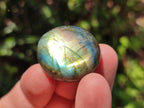 Polished Mini Rounded Labradorite Free Forms x 70 From Madagascar