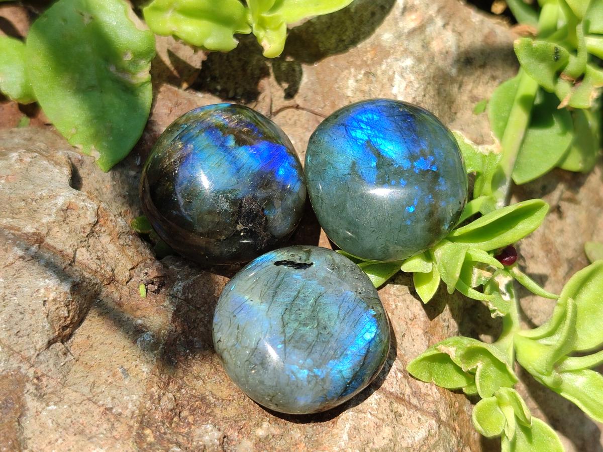 Polished Mini Rounded Labradorite Free Forms x 70 From Madagascar