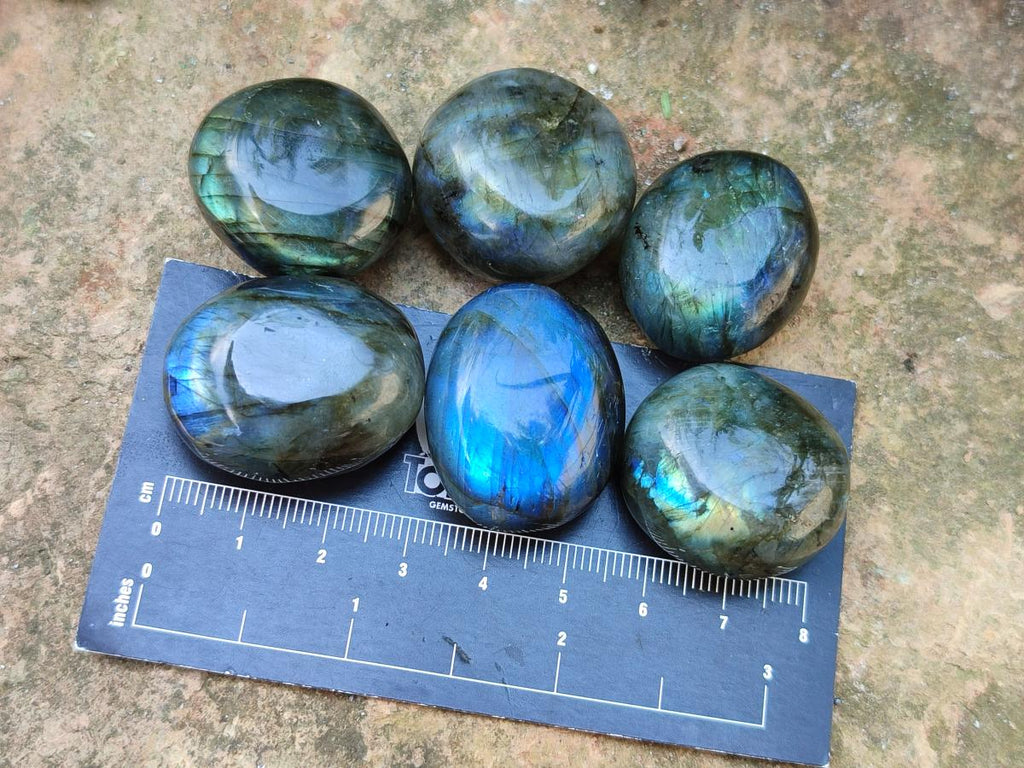Polished Mini Rounded Labradorite Free Forms x 70 From Madagascar