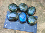 Polished Mini Rounded Labradorite Free Forms x 70 From Madagascar
