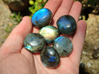 Polished Mini Rounded Labradorite Free Forms x 70 From Madagascar