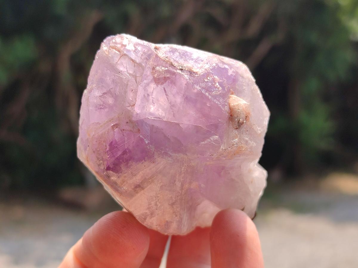 Natural Jacaranda Amethyst Single Crystals x 24 From Mumbwa, Zambia