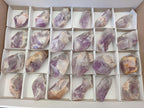 Natural Jacaranda Amethyst Single Crystals x 24 From Mumbwa, Zambia