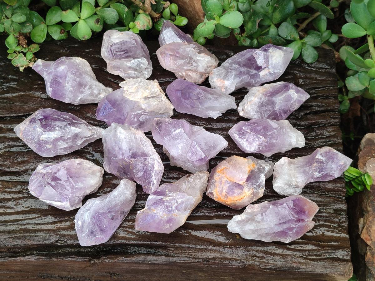 Natural Jacaranda Amethyst Single Crystals x 24 From Mumbwa, Zambia