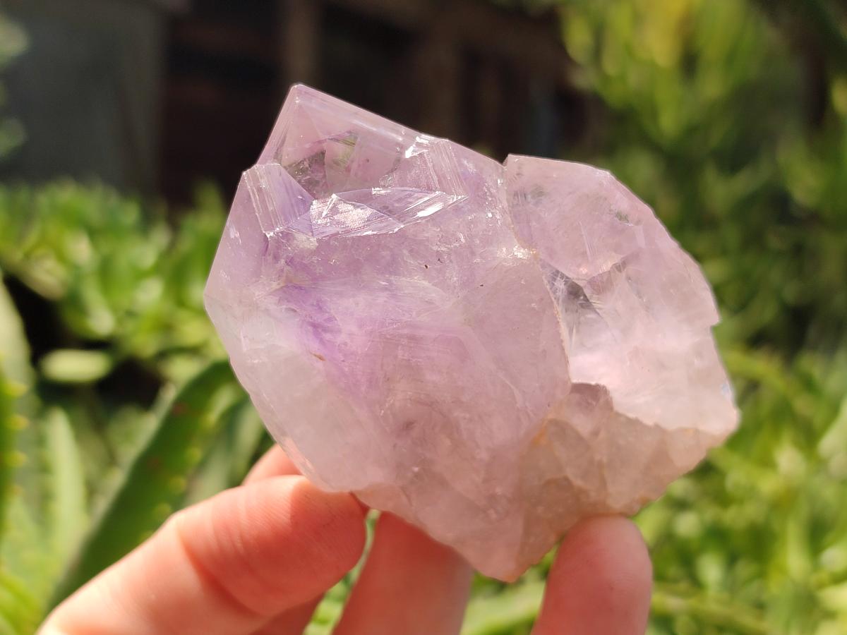 Natural Jacaranda Amethyst Single Crystals x 24 From Mumbwa, Zambia