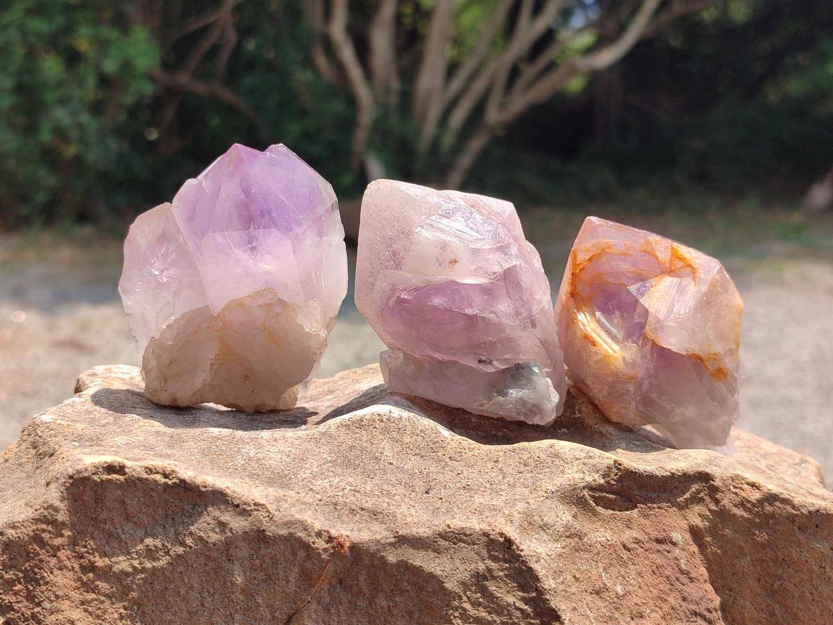 Natural Jacaranda Amethyst Single Crystals x 24 From Mumbwa, Zambia