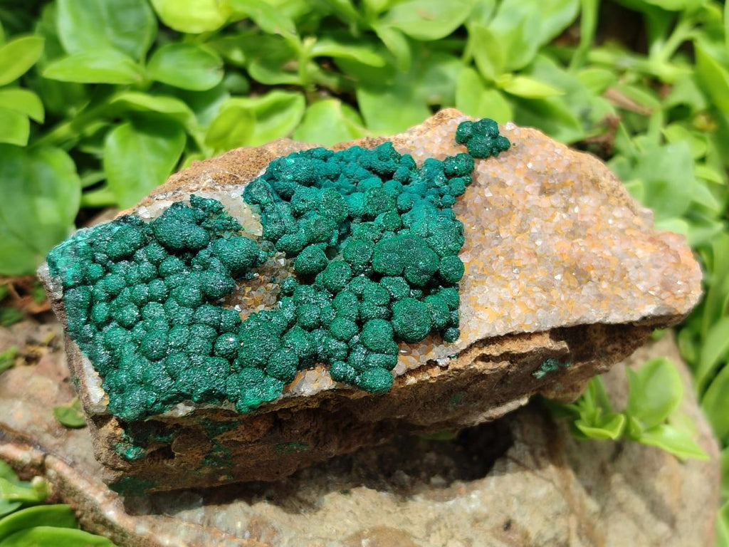 Natural Drusy Quartz Coated Ball Malachite On Dolomite Specimens x 5 From Mindingi Mine, Kambove, Congo