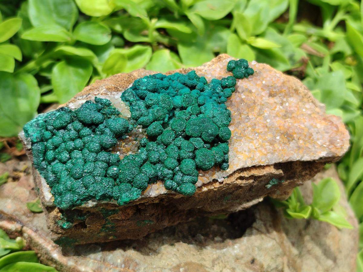 Natural Drusy Quartz Coated Ball Malachite On Dolomite Specimens x 5 From Mindingi Mine, Kambove, Congo