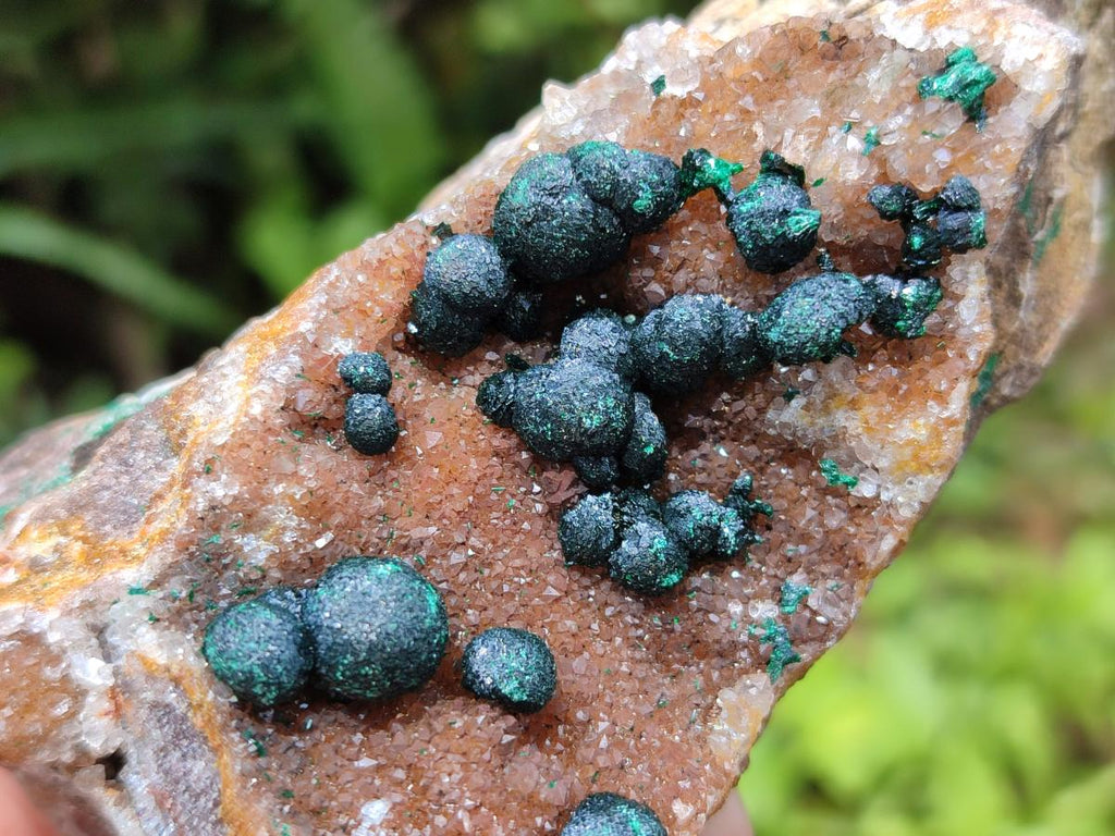 Natural Drusy Quartz Coated Ball Malachite On Dolomite Specimens x 5 From Mindingi Mine, Kambove, Congo