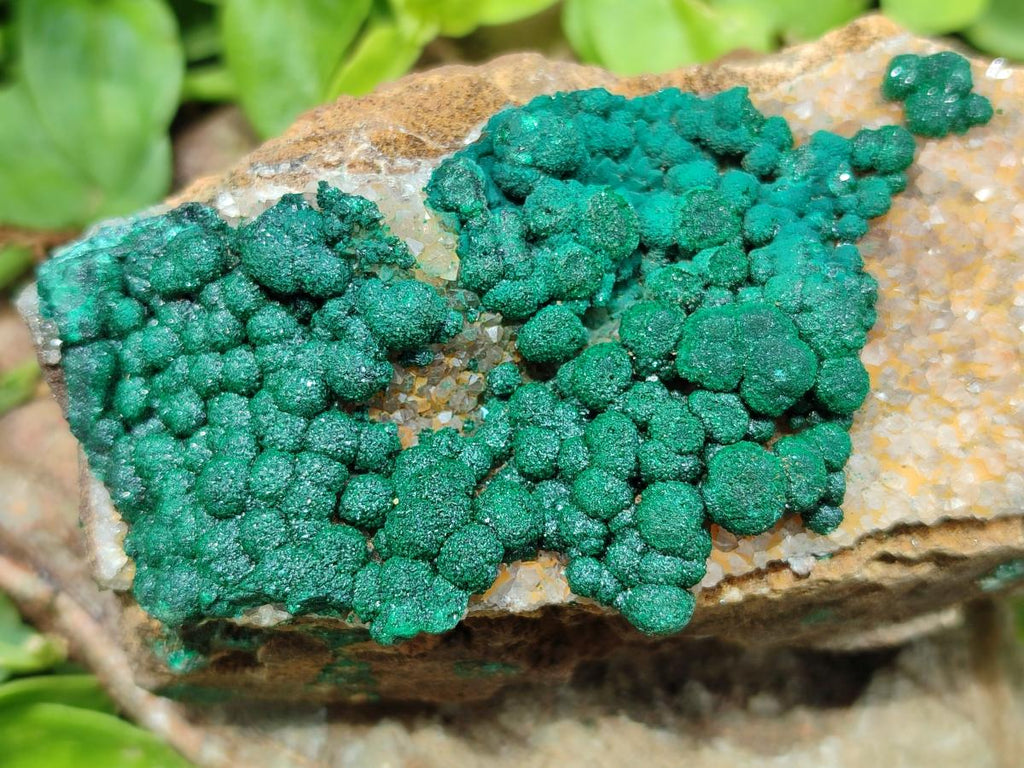 Natural Drusy Quartz Coated Ball Malachite On Dolomite Specimens x 5 From Mindingi Mine, Kambove, Congo