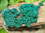 Natural Drusy Quartz Coated Ball Malachite On Dolomite Specimens x 5 From Mindingi Mine, Kambove, Congo