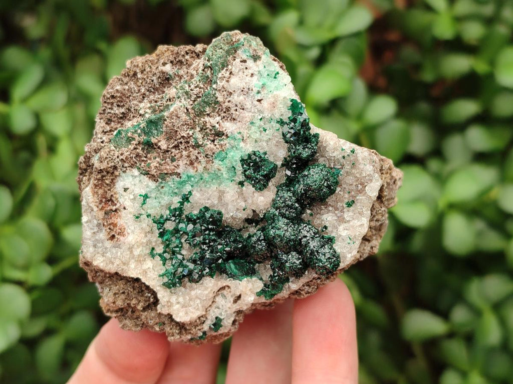 Natural Drusy Quartz Coated Ball Malachite On Dolomite Specimens x 5 From Mindingi Mine, Kambove, Congo