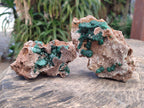 Natural Drusy Quartz Coated Ball Malachite On Dolomite Specimens x 5 From Mindingi Mine, Kambove, Congo