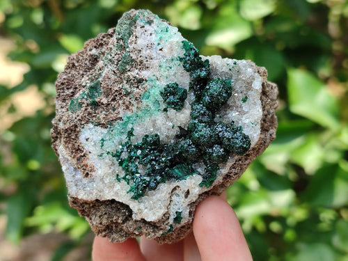 Natural Drusy Quartz Coated Ball Malachite On Dolomite Specimens x 5 From Mindingi Mine, Kambove, Congo
