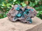 Natural Drusy Quartz Coated Ball Malachite On Dolomite Specimens x 5 From Mindingi Mine, Kambove, Congo