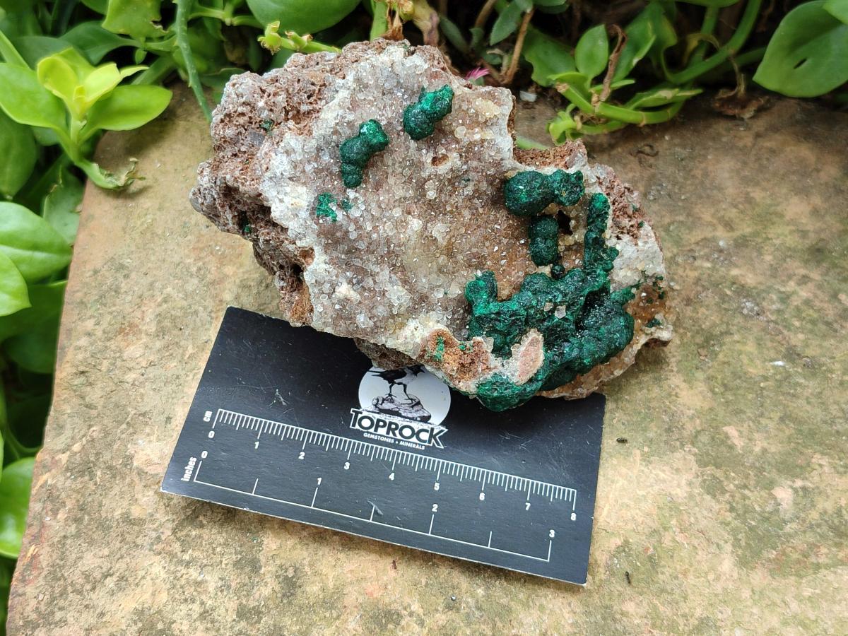 Natural Drusy Quartz Coated Ball Malachite On Dolomite Specimens x 5 From Mindingi Mine, Kambove, Congo