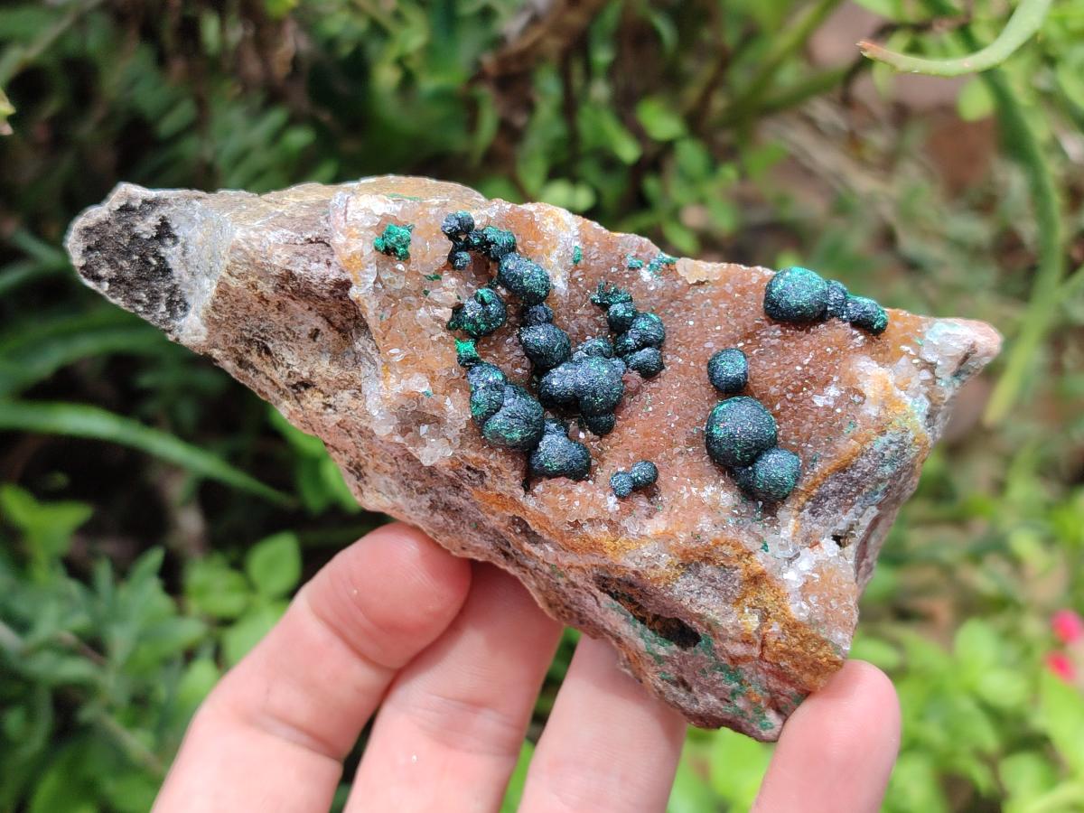 Natural Drusy Quartz Coated Ball Malachite On Dolomite Specimens x 5 From Mindingi Mine, Kambove, Congo