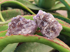 Natural Rare Amethyst Asylum Quartz Clusters x 12 From Luena, Congo