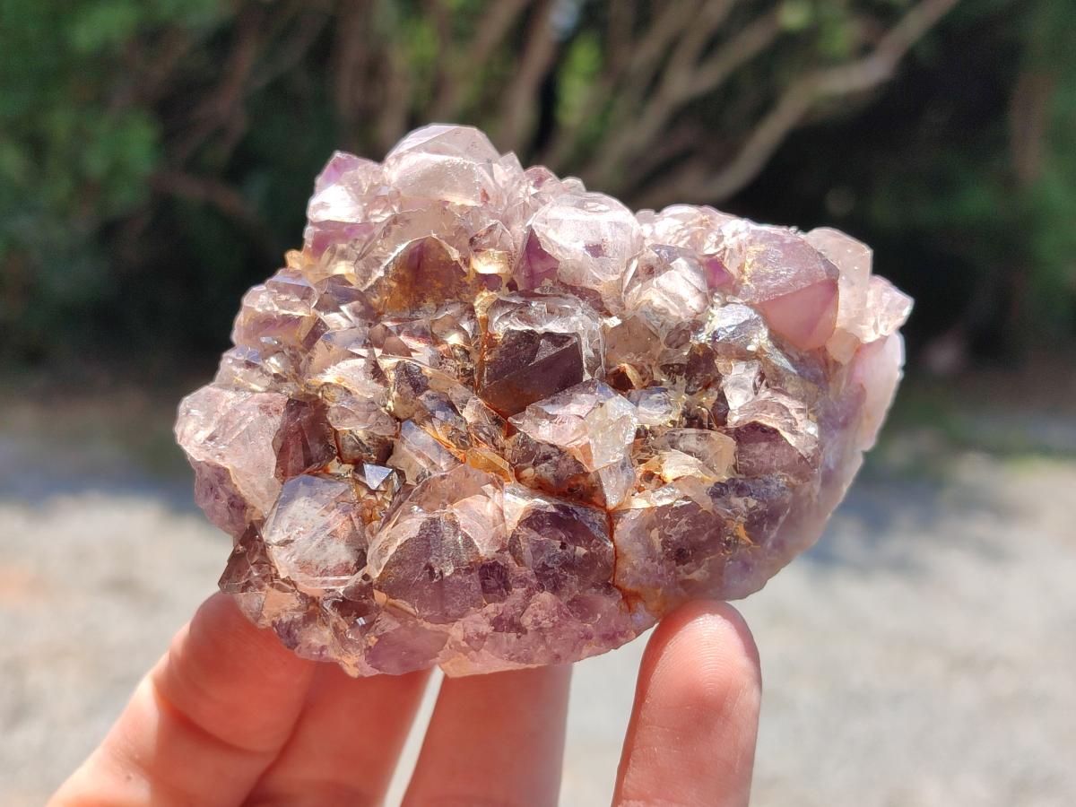 Natural Rare Amethyst Asylum Quartz Clusters x 12 From Luena, Congo