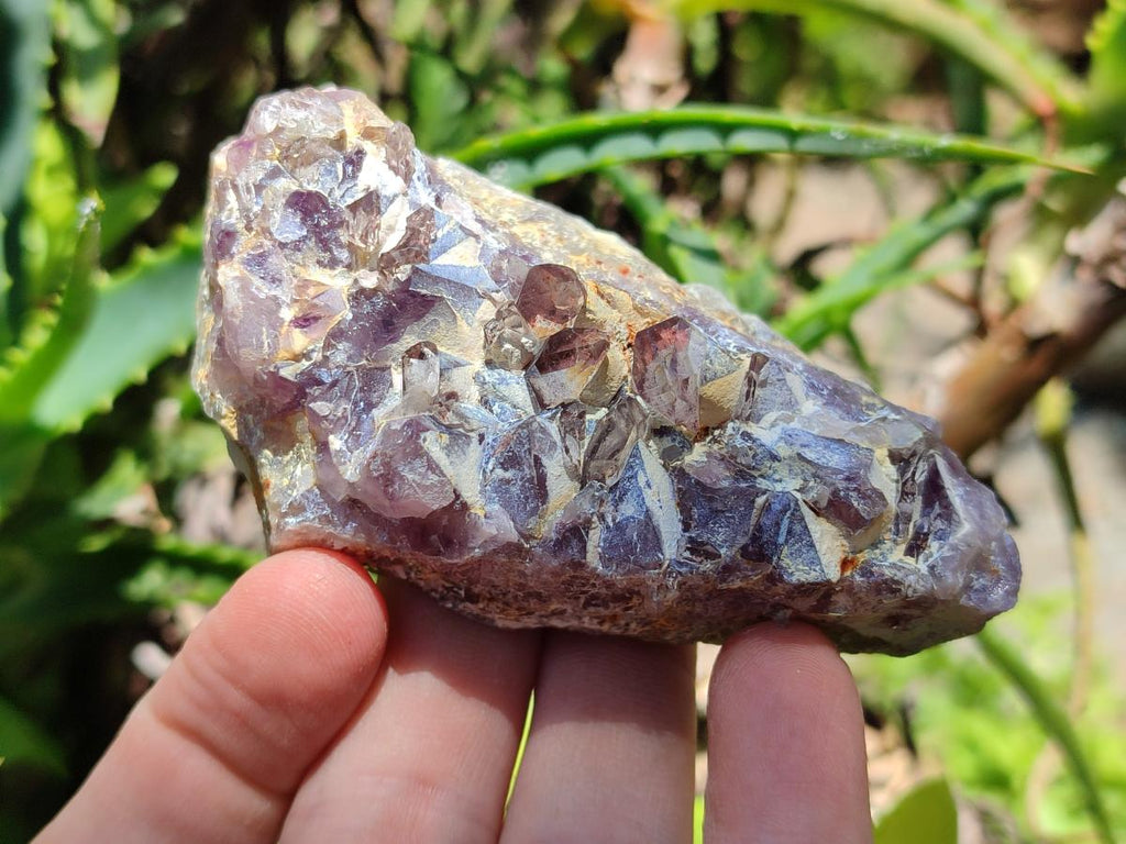Natural Rare Amethyst Asylum Quartz Clusters x 12 From Luena, Congo
