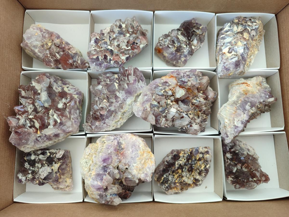 Natural Rare Amethyst Asylum Quartz Clusters x 12 From Luena, Congo