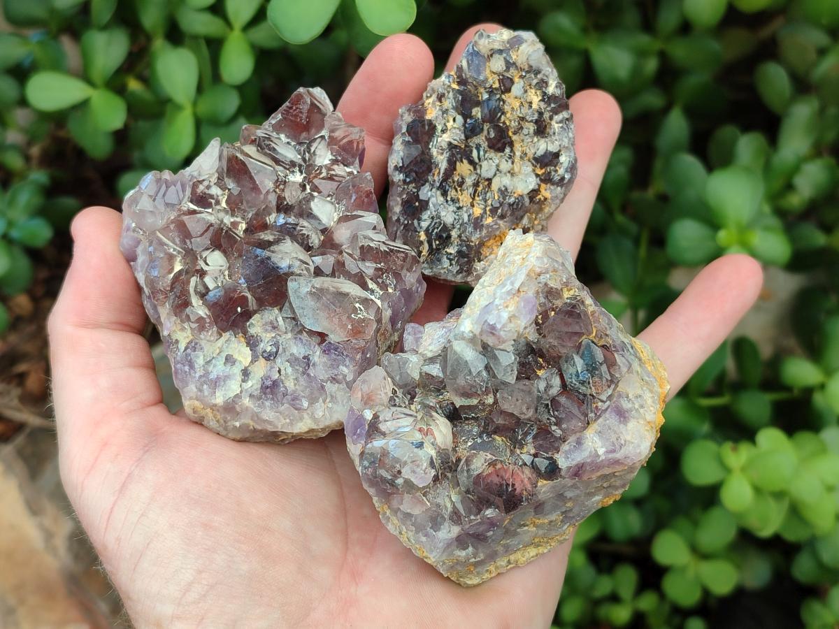 Natural Rare Amethyst Asylum Quartz Clusters x 12 From Luena, Congo