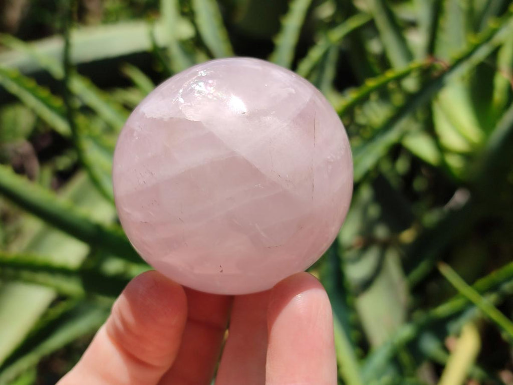 Polished Gemmy Star Rose Quartz Spheres x 6 From Madagascar
