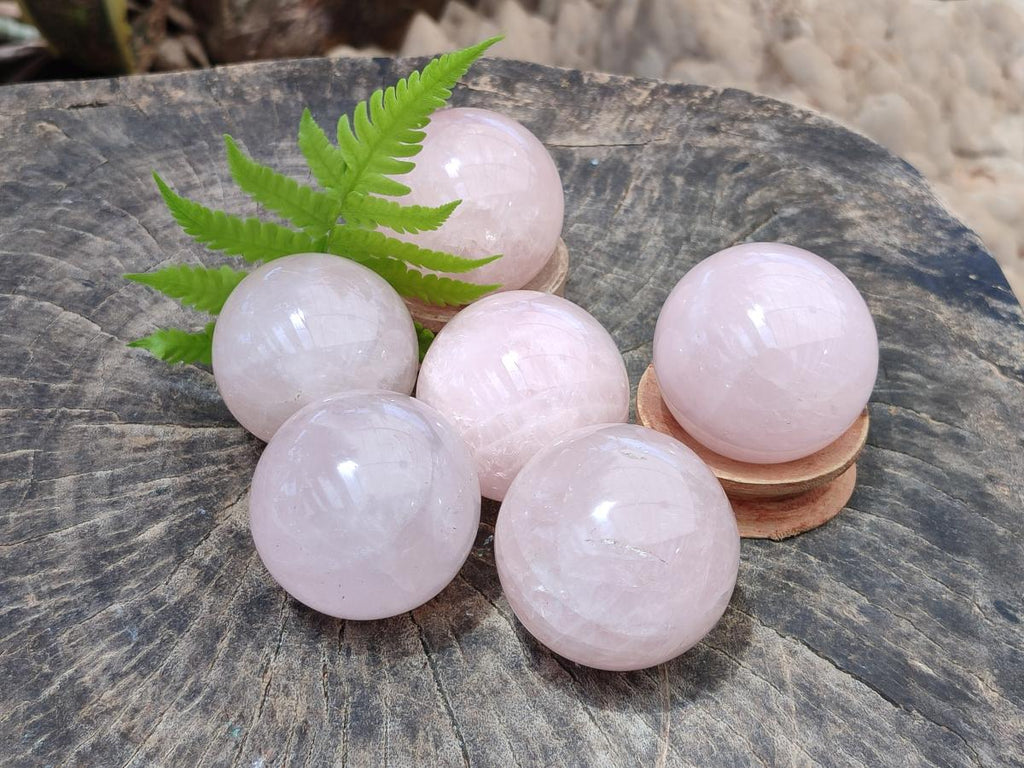 Polished Gemmy Star Rose Quartz Spheres x 6 From Madagascar