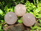 Polished Gemmy Star Rose Quartz Spheres x 6 From Madagascar