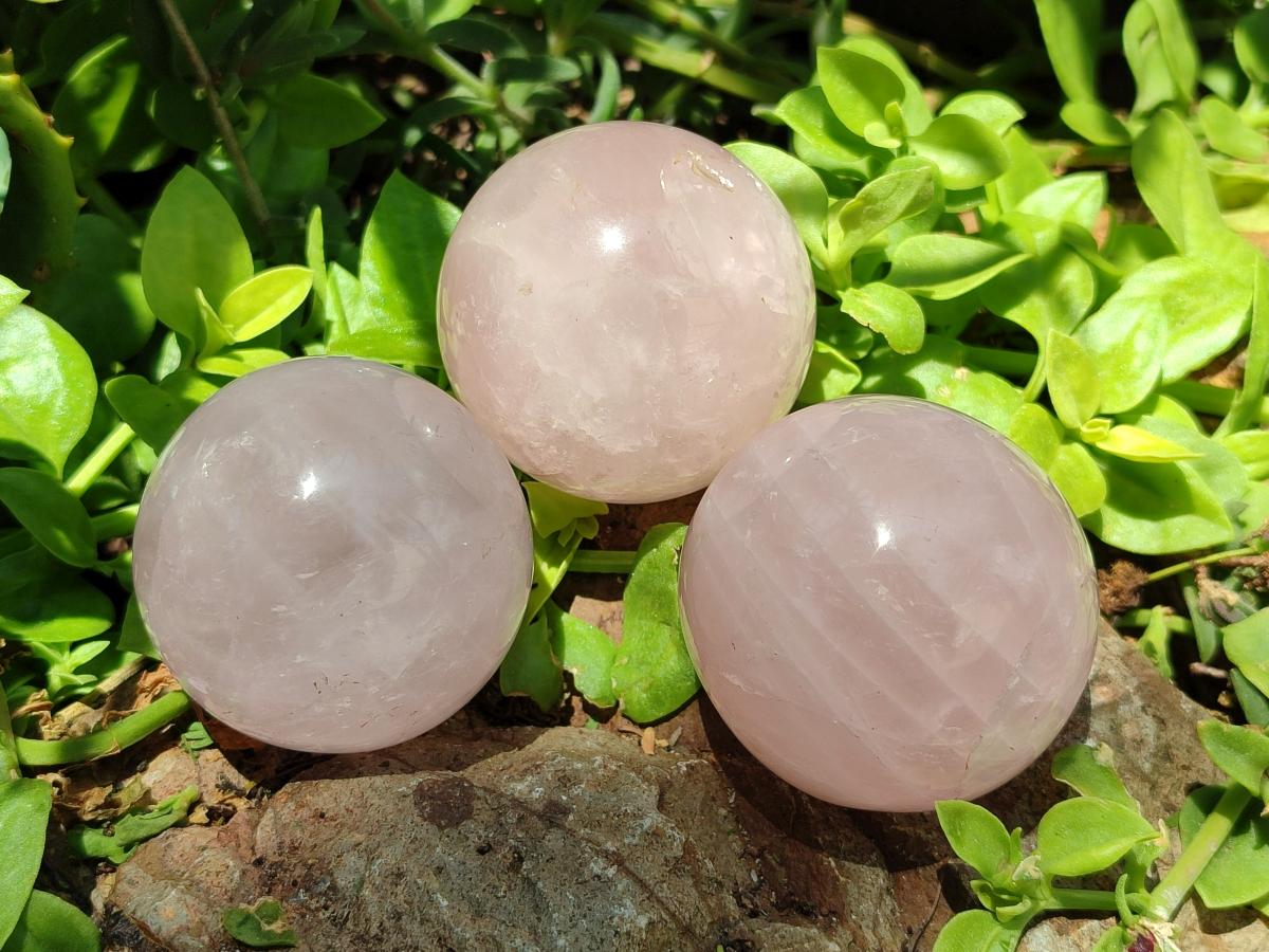Polished Gemmy Star Rose Quartz Spheres x 6 From Madagascar