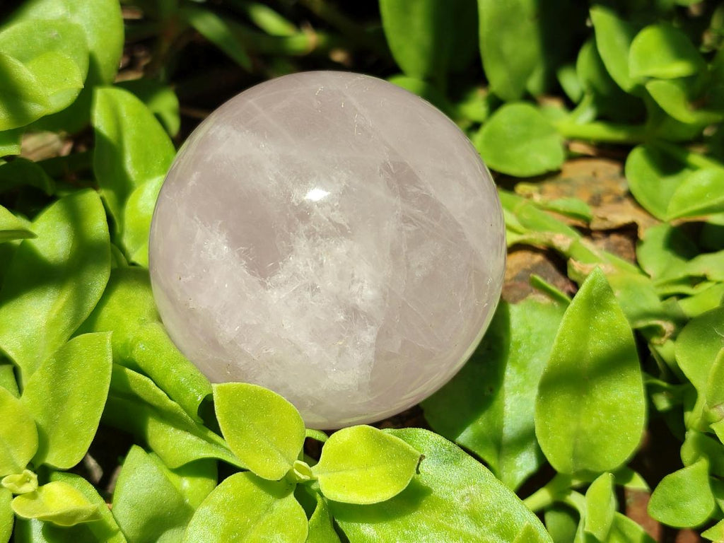 Polished Gemmy Star Rose Quartz Spheres x 6 From Madagascar