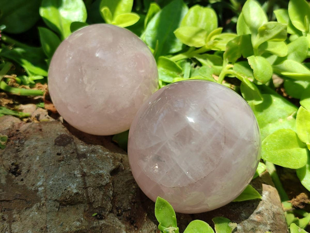 Polished Gemmy Star Rose Quartz Spheres x 6 From Madagascar