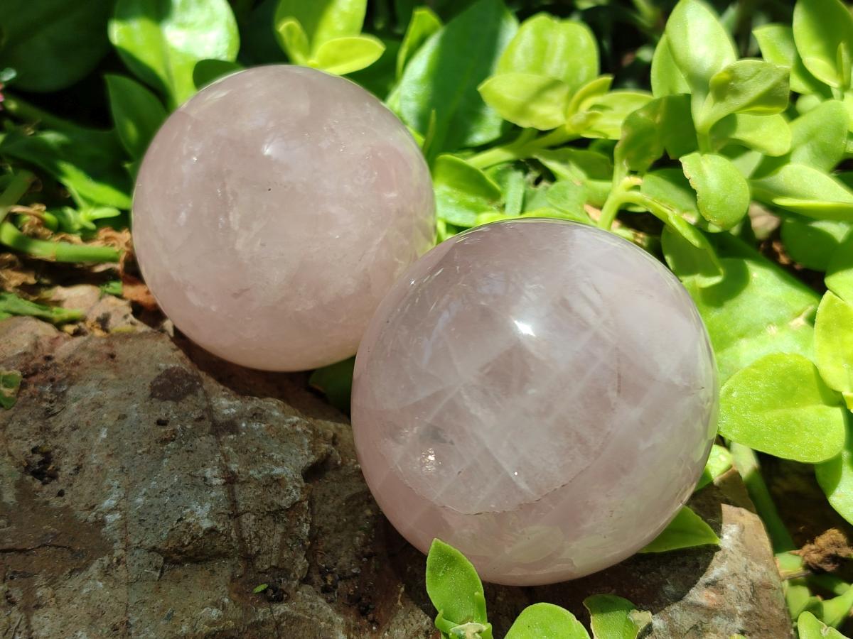 Polished Gemmy Star Rose Quartz Spheres x 6 From Madagascar