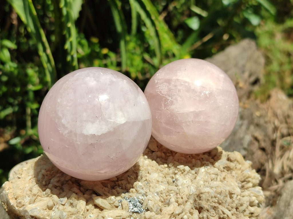 Polished Gemmy Star Rose Quartz Spheres x 6 From Madagascar