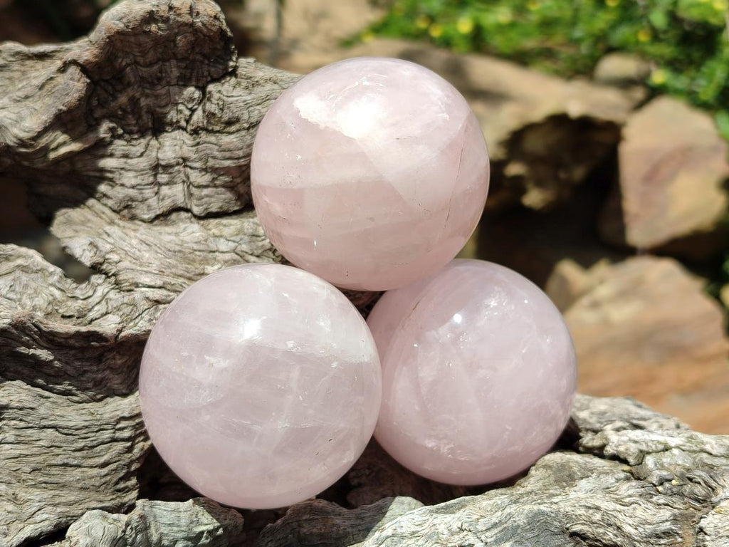 Polished Gemmy Star Rose Quartz Spheres x 6 From Madagascar