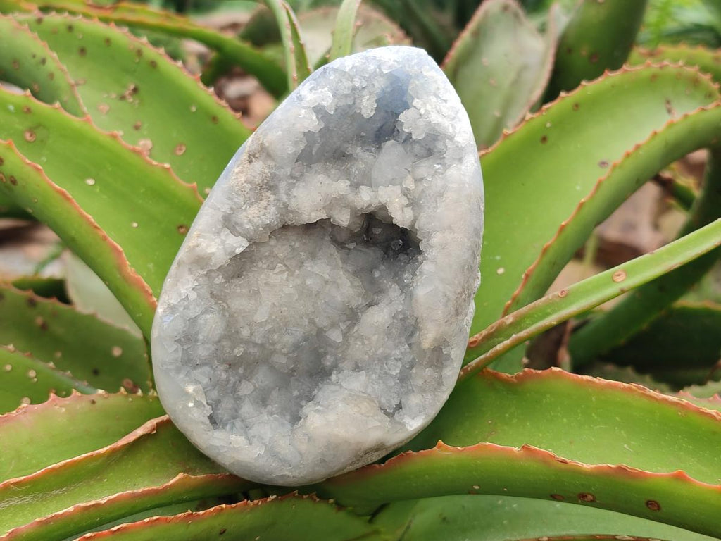 Polished Blue Celestite Eggs x 2 From Sakoany, Madagascar