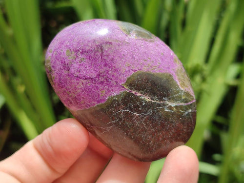 Polished Stichtite Free Forms x 12 From Barberton, South Africa