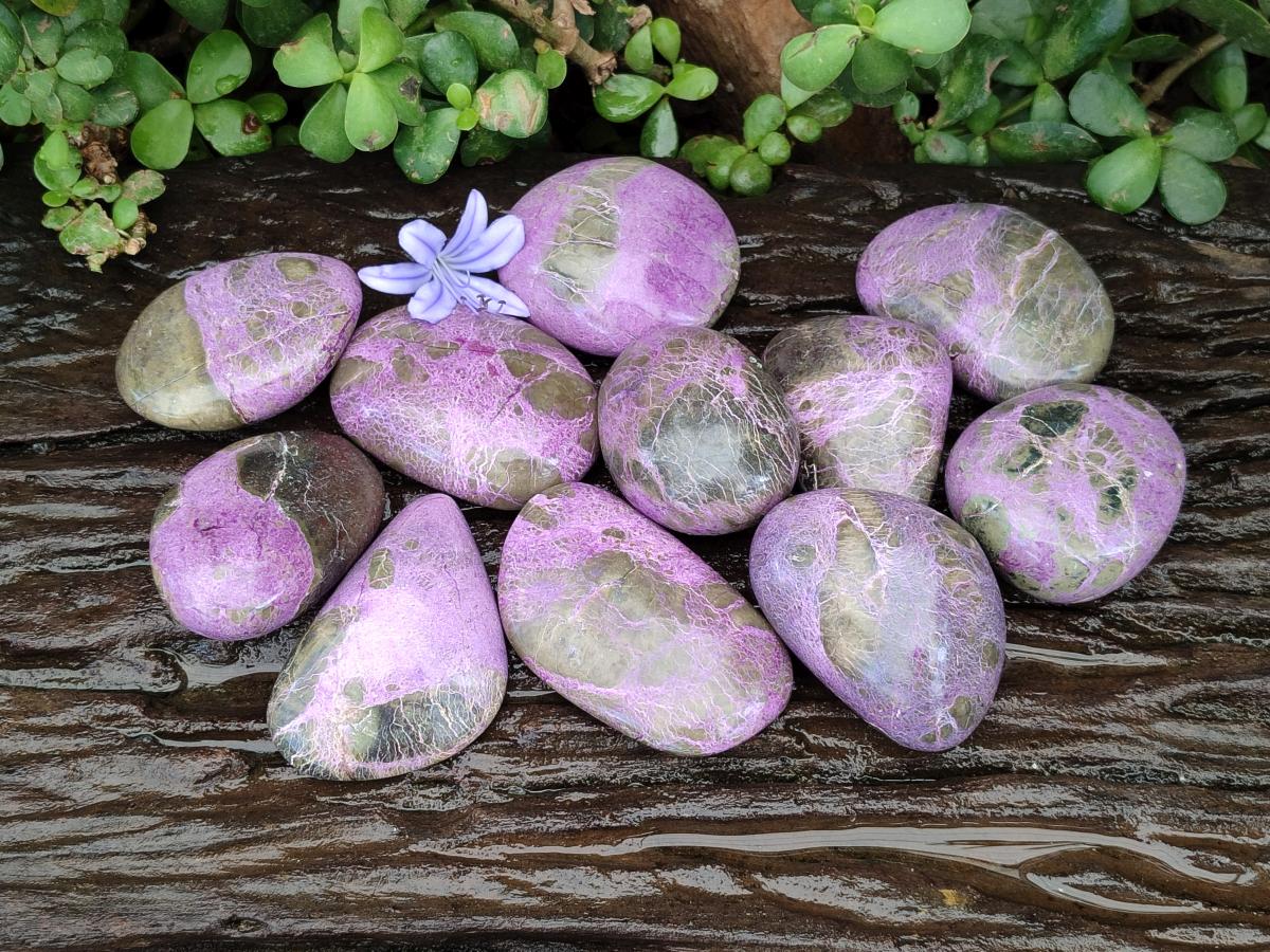 Polished Stichtite Free Forms x 12 From Barberton, South Africa