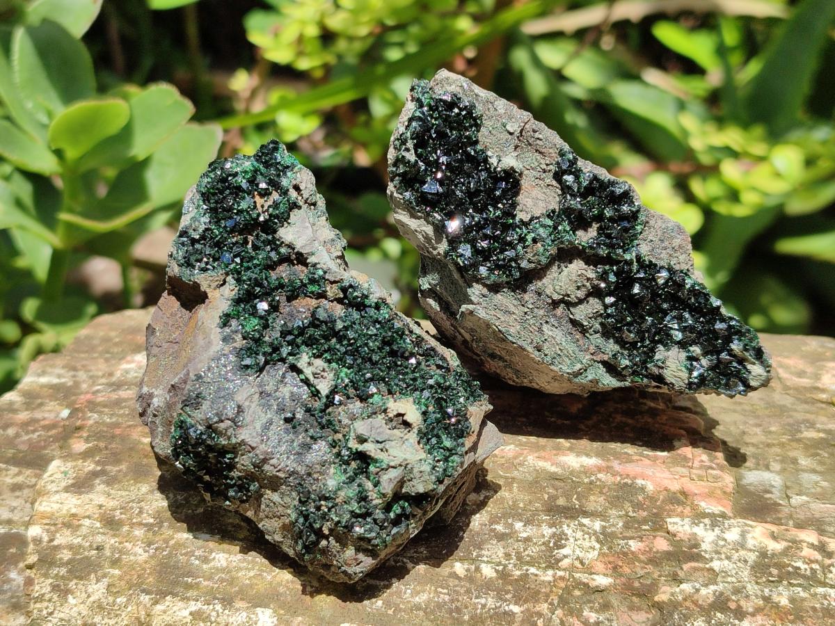 Natural Libethenite Crystals on Dolomite Matrix Specimens x 6 From Shituru, Congo - Toprock Gemstones and Minerals 