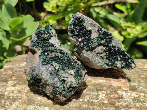 Natural Libethenite Crystals on Dolomite Matrix Specimens x 6 From Shituru, Congo