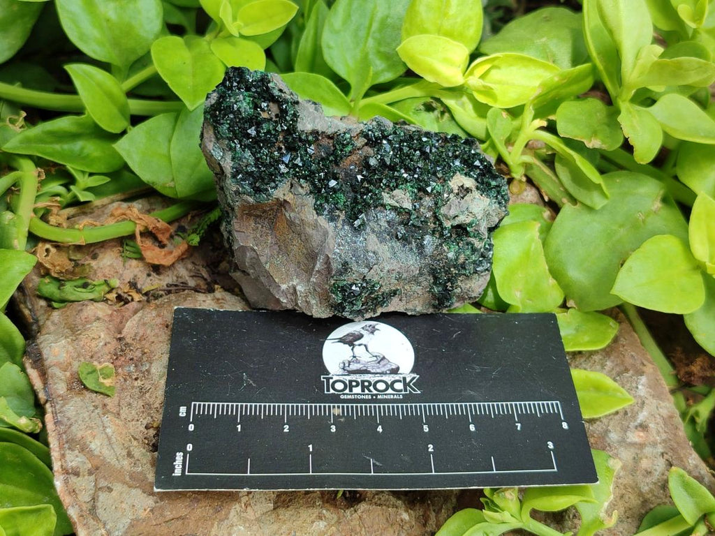 Natural Libethenite Crystals on Dolomite Matrix Specimens x 6 From Shituru, Congo - Toprock Gemstones and Minerals 